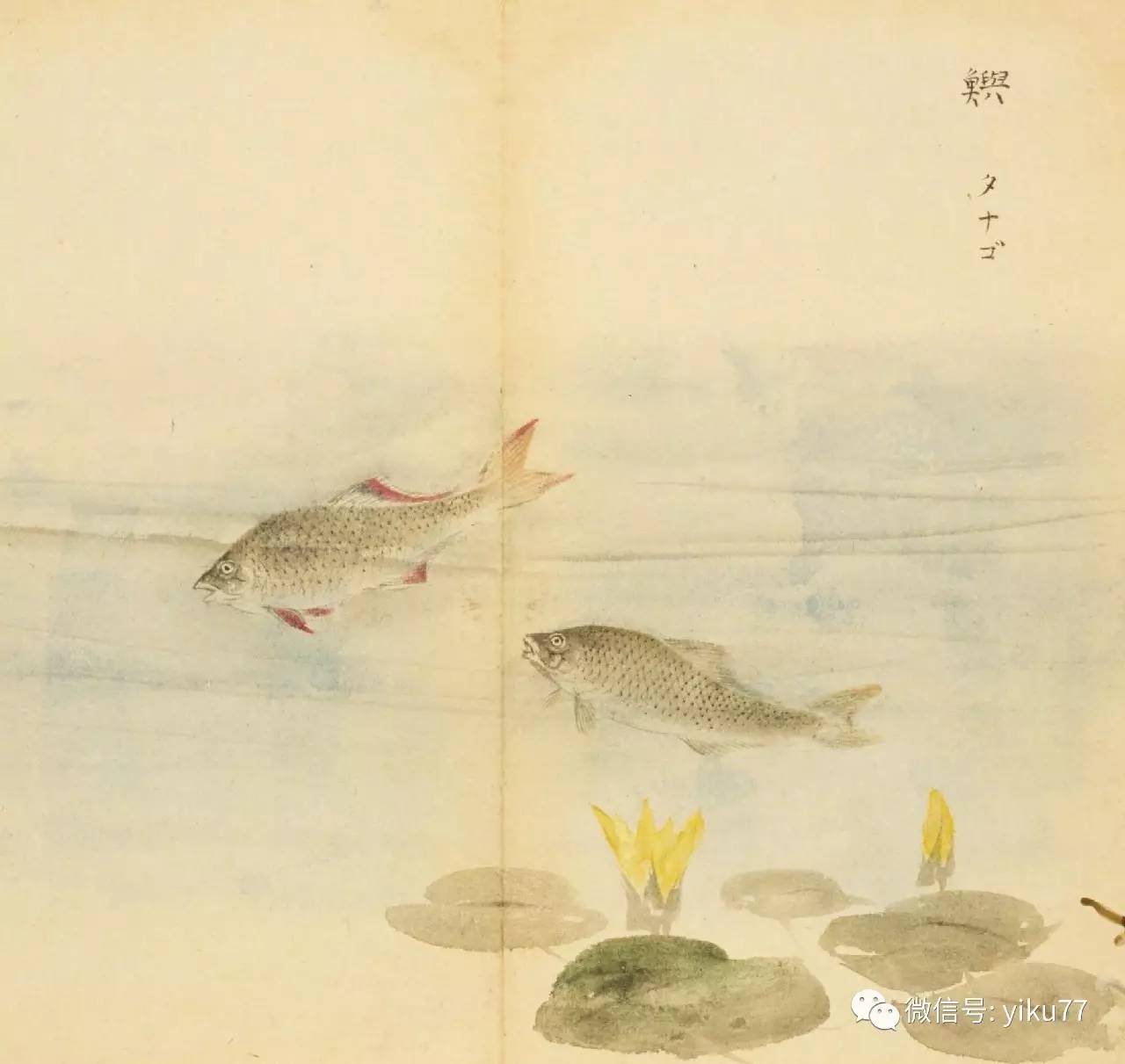 理解并应对频拒现象，SEO优化中的关键策略与策略调整期的重要性，SEO优化中的关键策略，理解并应对频拒现象，策略调整期的重要性