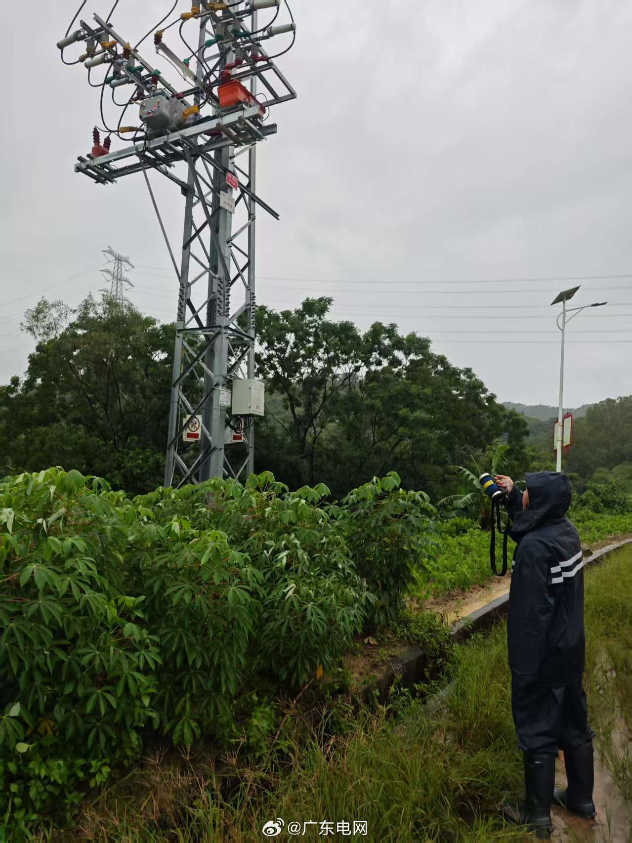 探索巡导与果惊，一照之中的奥秘与关联，探索巡导与果惊，一照间的奥秘与深层关联