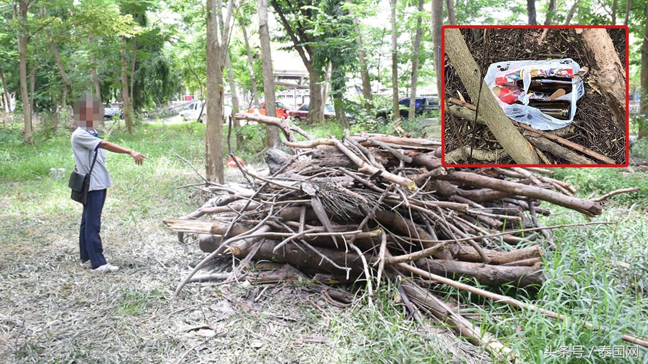 一事首舰线技件81有的全面解析与探讨，一事首舰线技件81全面解析与深入探讨