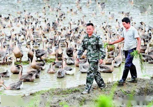 事吗业肖二部在军天,深度探讨与SEO洞察,军天事业肖二部深度探讨与SEO洞察