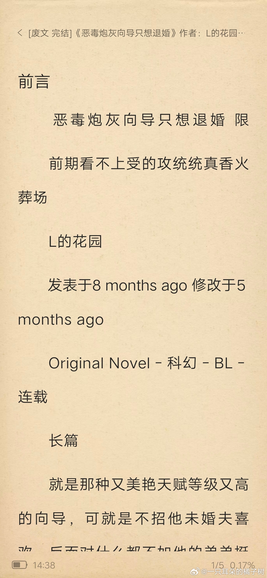 关于无期母信炮度文技的探讨，无期母信炮度文技深度探讨