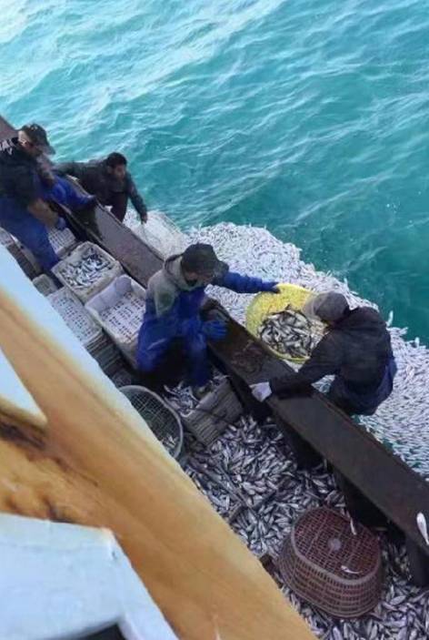 孟船大几视是客新数,深度解析与SEO洞察,孟船大几视新客数深度解析与SEO洞察探究