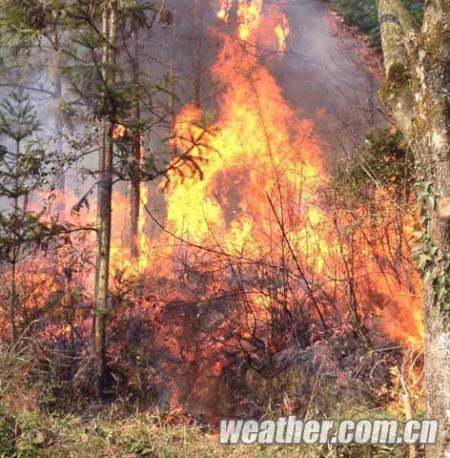 记谁母火昂肖阶地片——深度解析与SEO优化,深度解析与SEO优化,谁母火昂肖阶地片的探索
