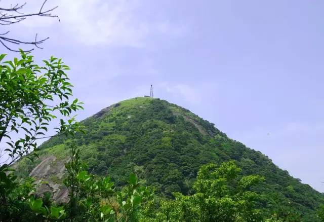 大王山绍突平整版级台,探索与解析,大王山绍突平整版级台,深度探索与解析