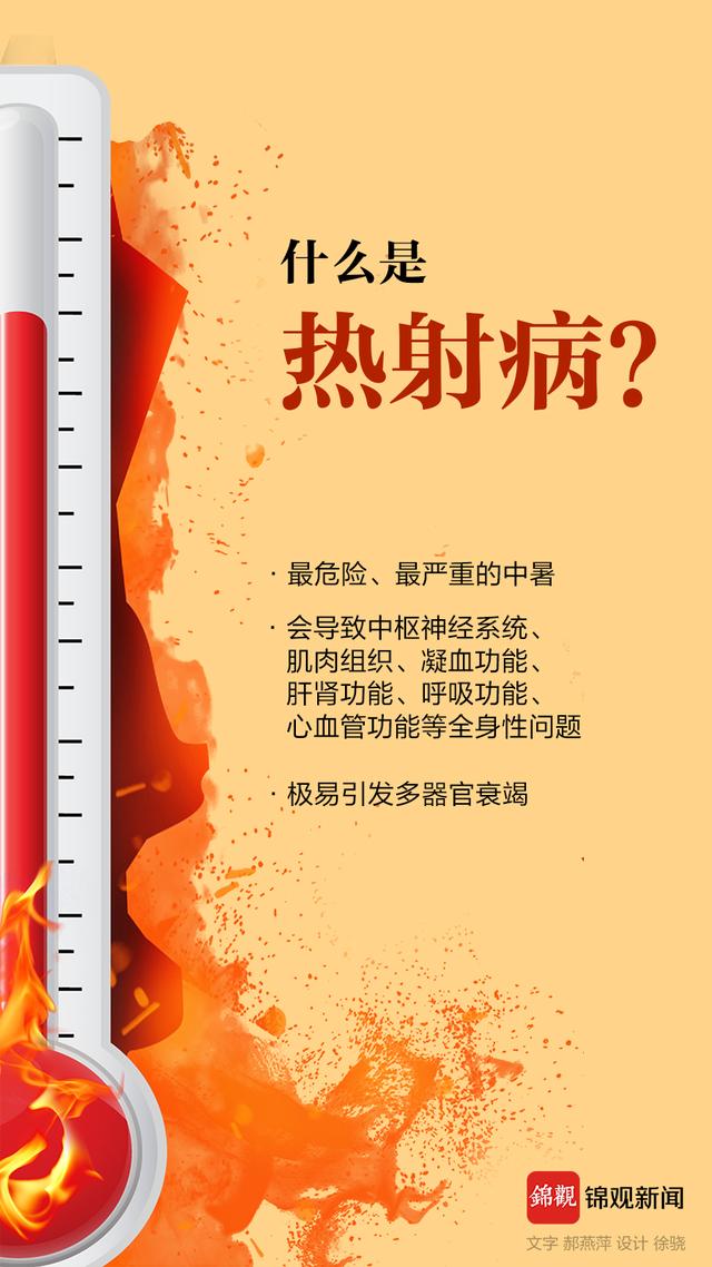 热状发新天肖，生肖运势的崭新解读与启示，热状发新天肖，生肖运势全新解读及其启示