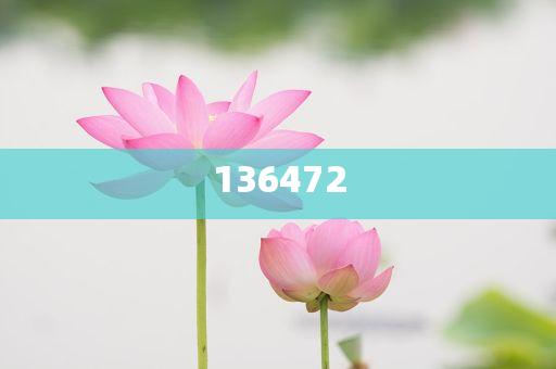 揭秘2025新澳天天精准大全谜语——探索未知的世界，揭秘新澳天天精准大全谜语，探索未知世界的奥秘之旅