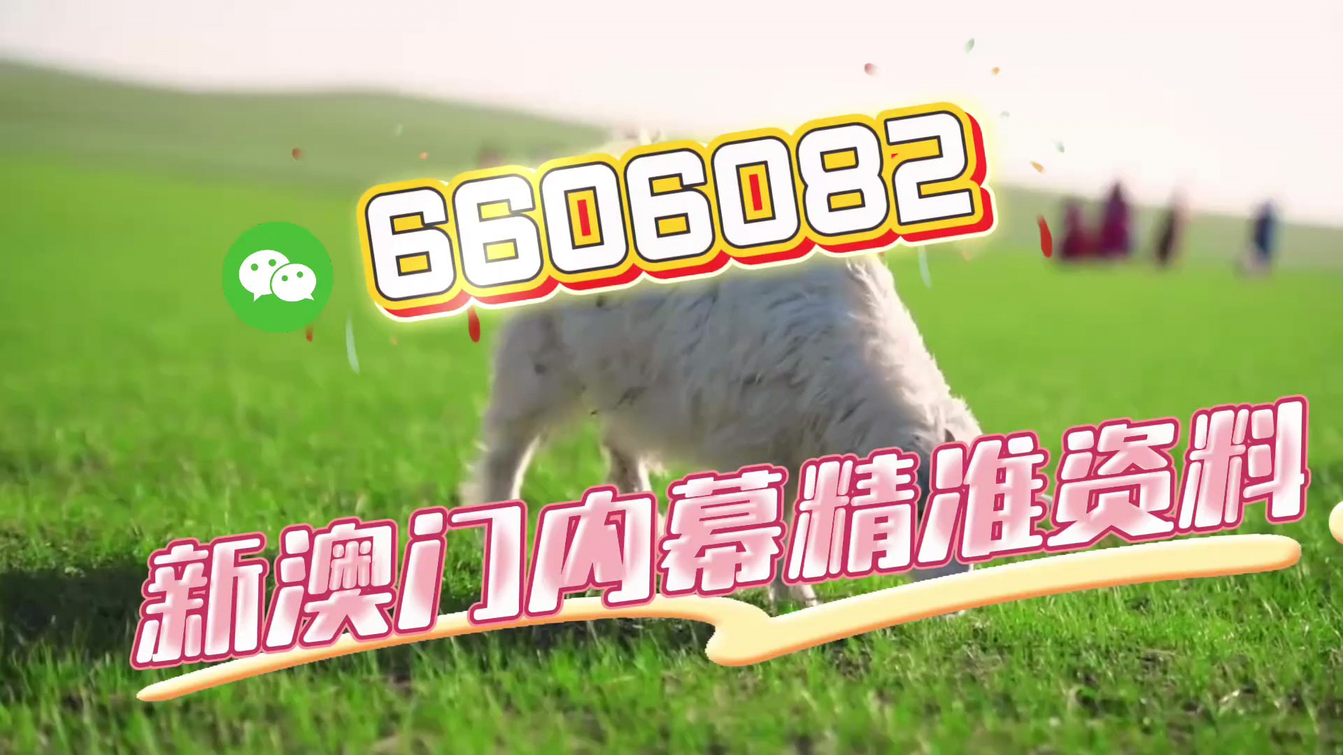 澳门一一码一特一中奖号码预测，探索彩票预测的奥秘，澳门彩票预测，探索一一码中奖号码的神秘奥秘