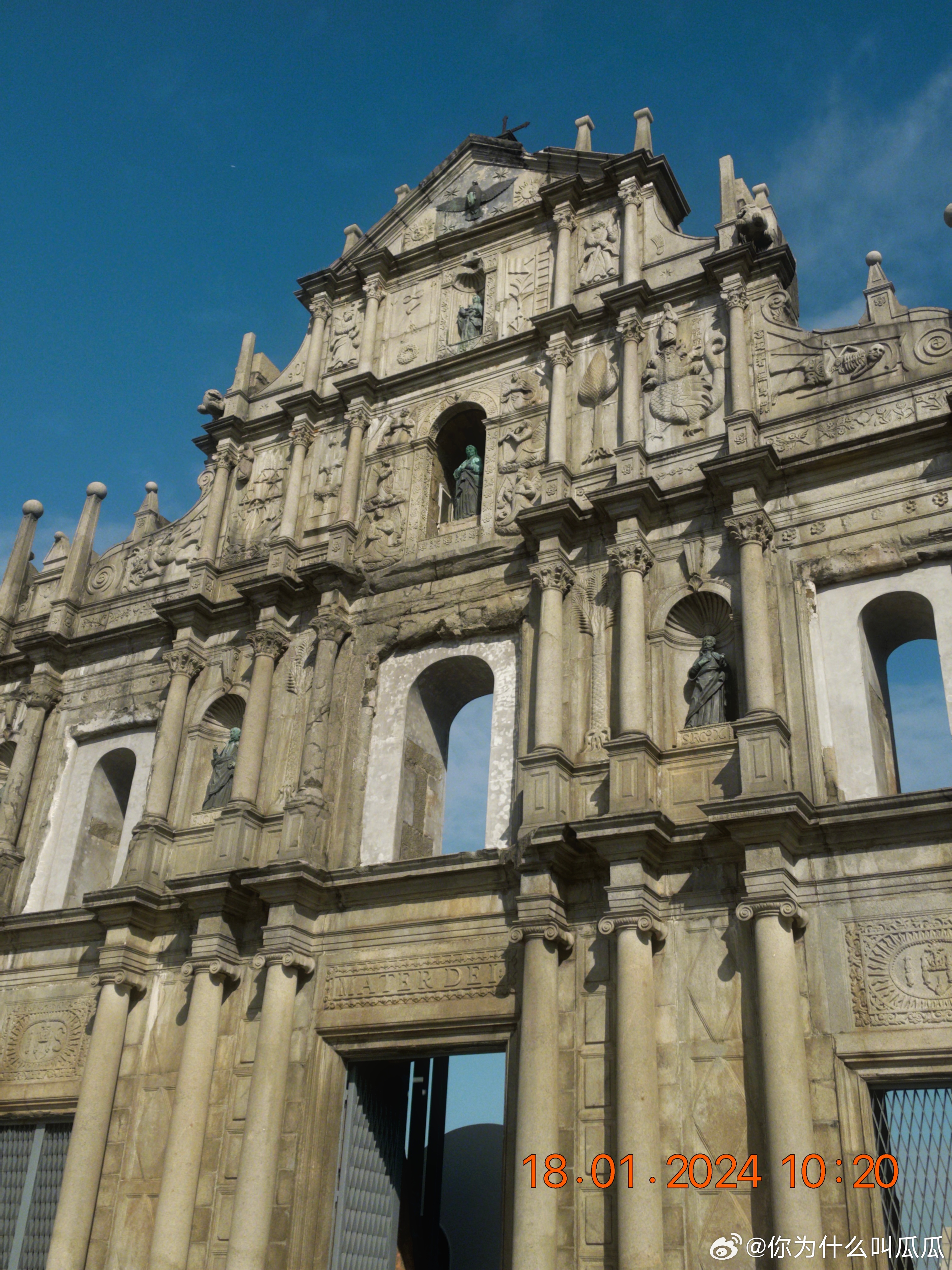 大三巴一肖一特一肖中,探索与预测,大三巴一肖一特一肖中的探索与预测研究