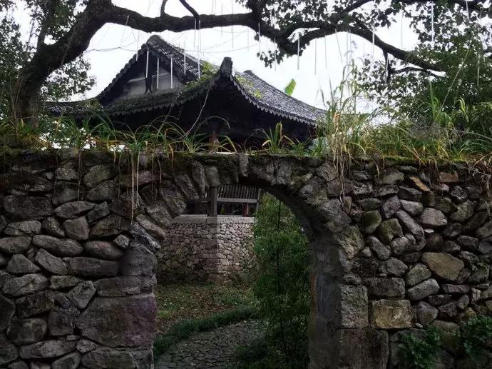 状元红高手坛网址的全面解析与SEO优化策略探讨，状元红高手坛网址解析与SEO优化策略探讨