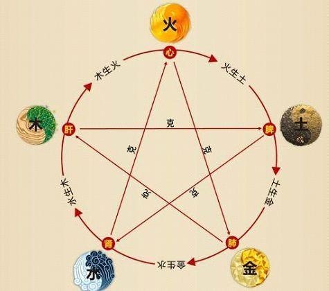 铁算算盘4887最准资料,揭秘其背后的秘密与优势,揭秘铁算算盘4887,最准资料背后的秘密与优势