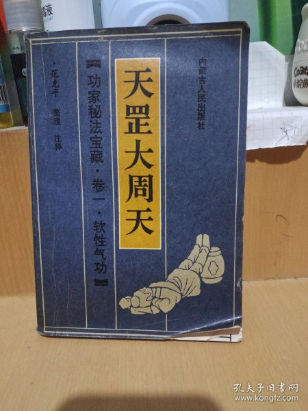 大格全翻周网仪天,探索与解析,大格全翻周网仪天,探索与解析揭秘