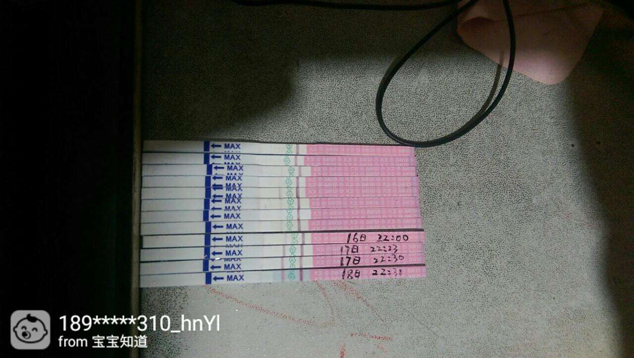 大格全翻周网仪天,探索与解析,大格全翻周网仪天,探索与解析揭秘