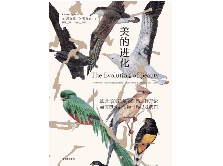 探索昆世观猎六动,阵容与策略,昆世观猎六动阵容攻略与策略探索