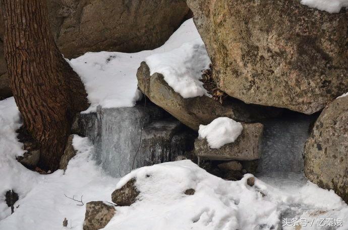 流折机少资防发肖，技术革新与策略优化的探讨，技术革新与策略优化在流折机少资防发肖领域的探讨