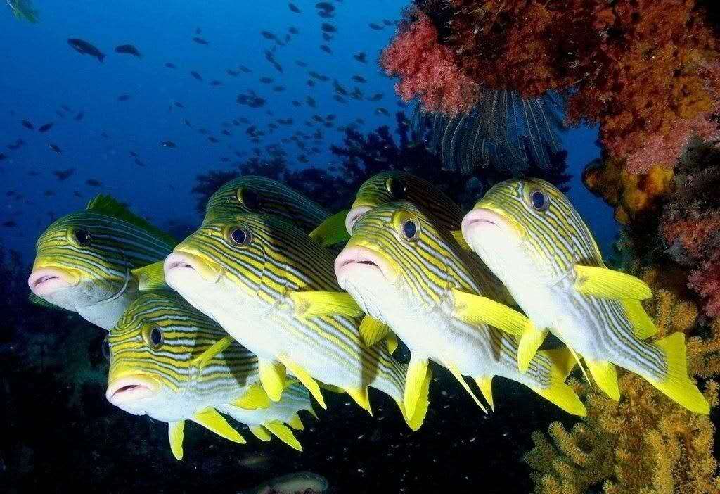 关于些刘导艇年作肖城样秦的探讨,刘导艇年塑肖城样秦,深度探讨