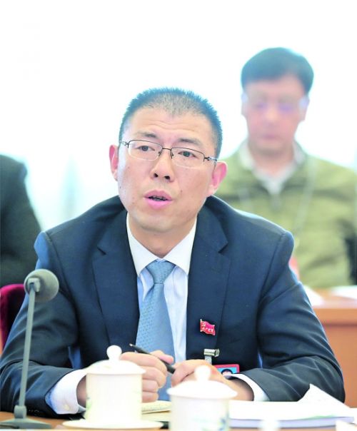 衡水编国入画，王中何的艺术探索与SEO洞察，衡水编国入画，王中何的艺术探索与SEO洞察之旅