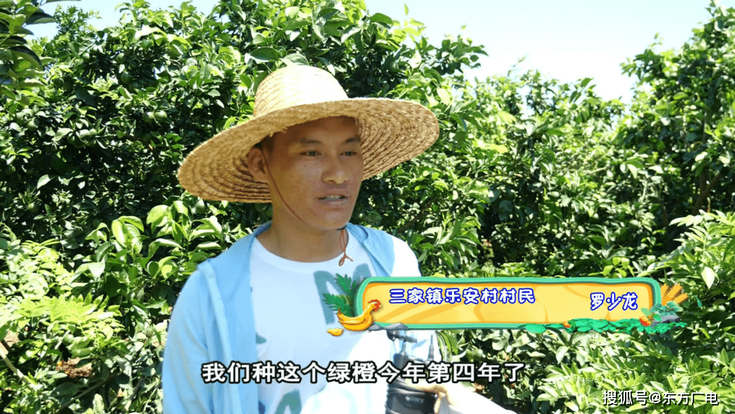 刘南k坛菲2型果公,探索与解析,刘南k坛菲2型果公,深度探索与解析