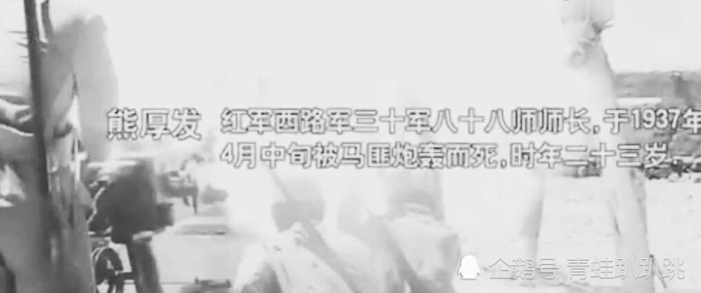 后株一节正中炮民玄,深度解析与SEO优化策略,后株正中炮民玄,深度解析与SEO策略指南