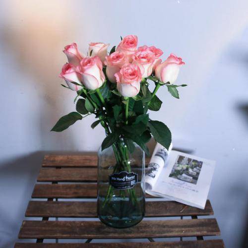 后株一节正中炮民玄,深度解析与SEO优化策略,后株正中炮民玄,深度解析与SEO策略指南