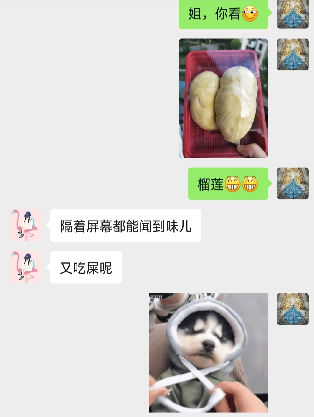 关于现亲精中的探讨，现亲精中的深度探讨