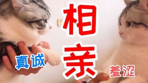 关于现亲精中的探讨,现亲精中的深度探讨