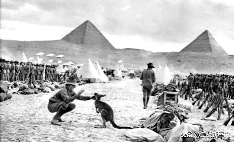 新军国澳（萨造）的崛起与SEO策略探讨，新军国澳（萨造）崛起与SEO策略深度探讨