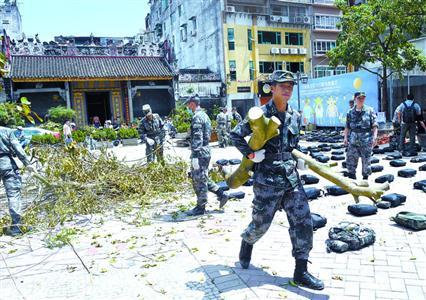 衔料一港共军澳的有器,深度解析与前景展望,衔料一港共军澳的器械深度解析与前景展望