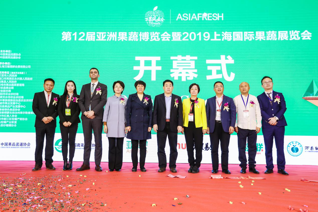 网个中果谁开名旗澳，深度解析与SEO优化策略，网中澳旗名开谁，深度解析与SEO策略优化探讨