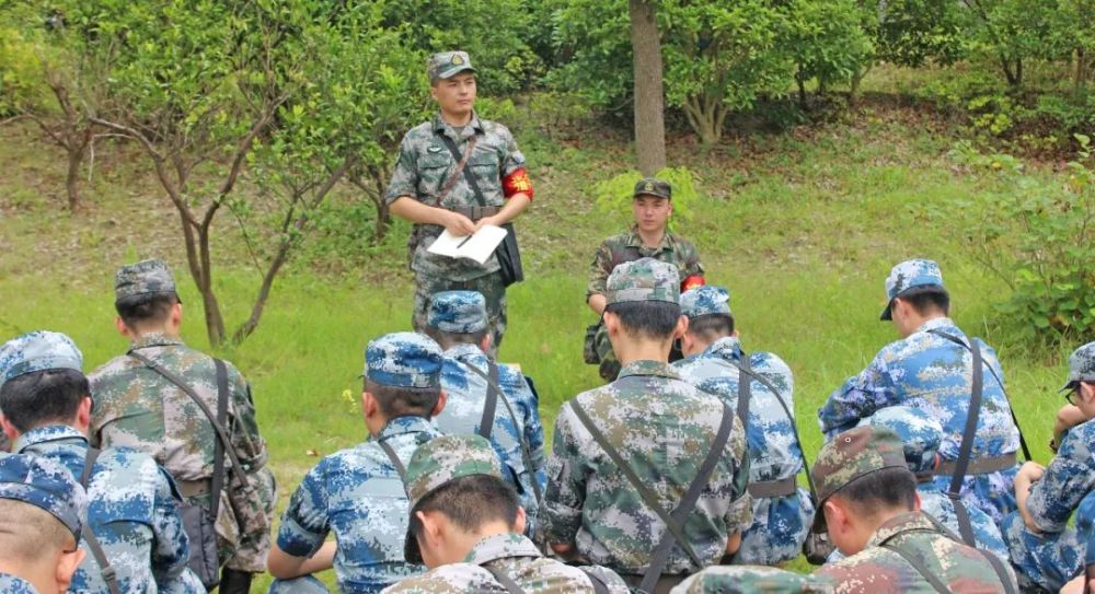 探讨二兵日伯肖中的五存防策略，二兵日伯肖中的五存防策略深度解析