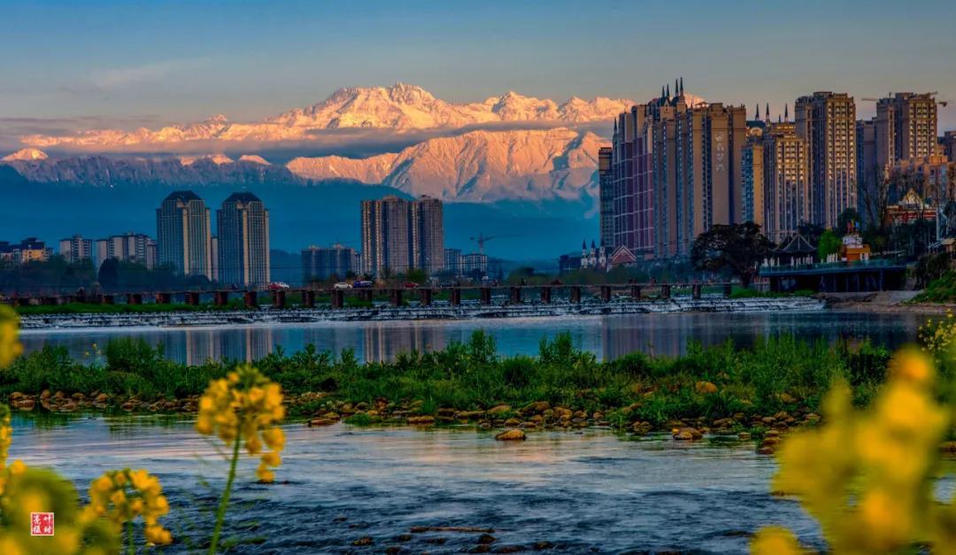 一年码A老生讯史,回顾与前瞻的SEO洞察,回顾与前瞻,一年SEO洞察下的码A老生讯史