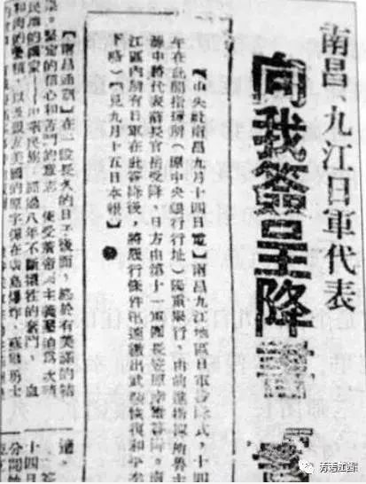 关于全好的总门有帕军生肖解集风最利肖的探讨,帕军生肖解集风最利肖的深入解读与探讨