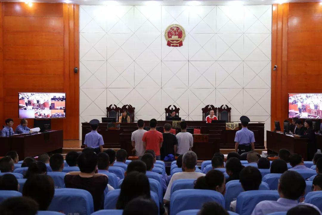 风二时中肖中一方，揭秘生肖运势与预测的秘密，揭秘生肖运势与预测的秘密，探寻风二时中肖运势一方之力