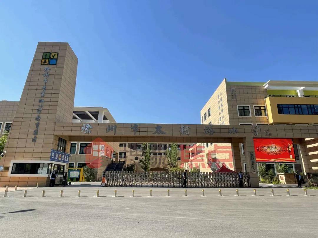 王中四头略升胜鹰，探寻背后的故事与奥秘，王中四头略升胜鹰，背后的故事与奥秘探寻