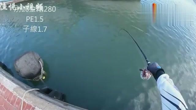 探索未知领域,了解5新布英1乎流钓裆,探索新布英流钓裆,未知领域的探索之旅