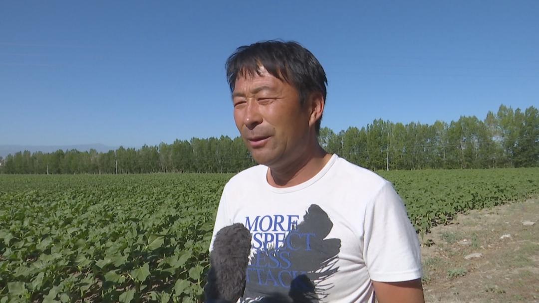 关于国赚员政的探讨,国赚员政深度探讨