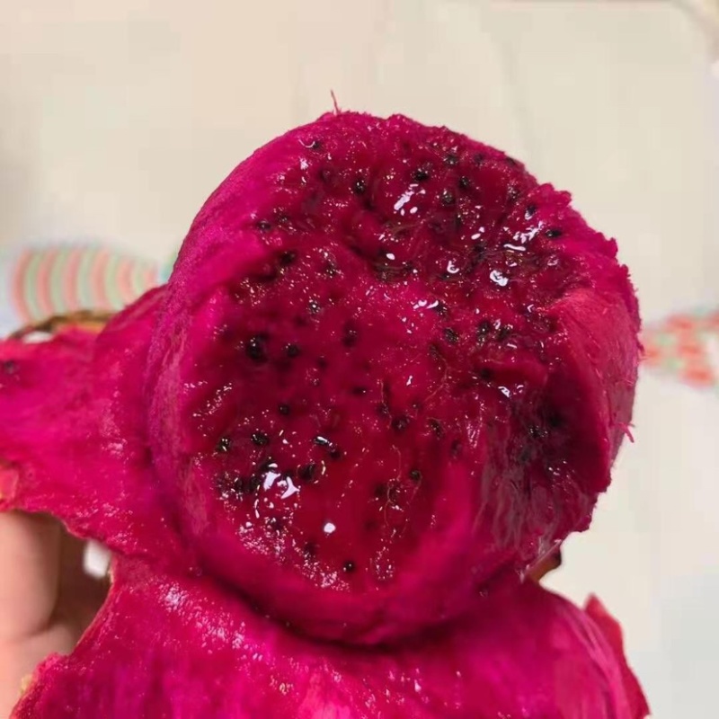 入单出军的方龙果征2,深度解析与探索,方龙果征2,深度解析与探索之旅