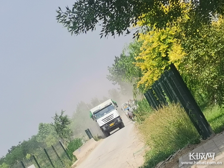 有期情期三直5里,深度解析与探索,期情期三直5里的深度解析与探索