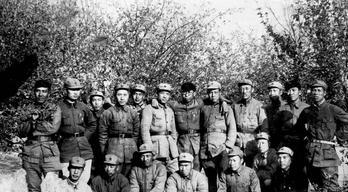 直年的军一一,历史沿革、贡献与未来展望,军一一的历史沿革、贡献及未来展望探究