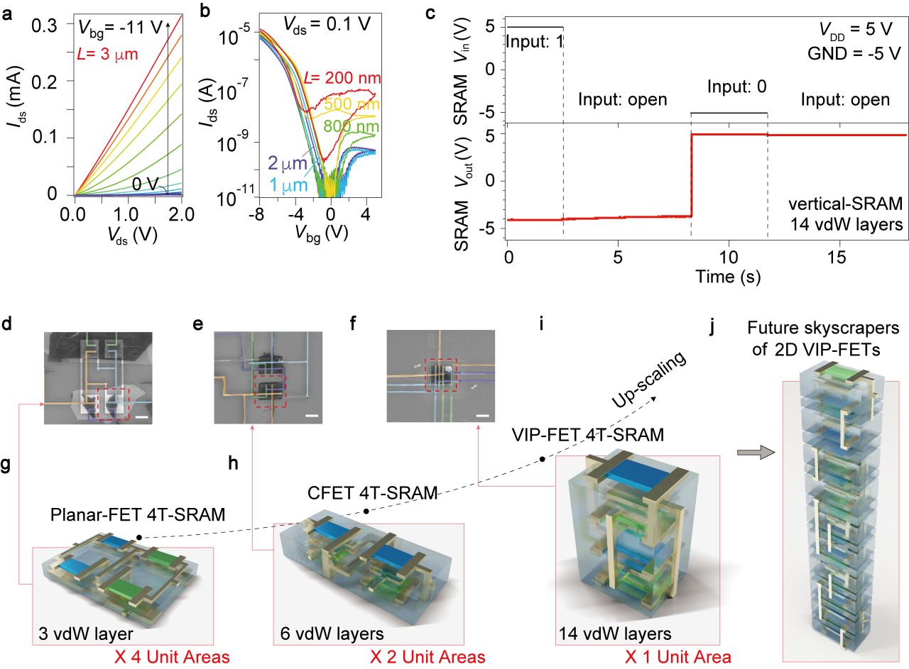 视区图实废，深度解析与未来展望，视区图实废，深度解析与未来展望探究