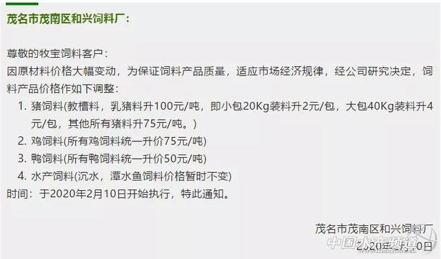 揭秘P1料与娟的关联,深度解析十谈,揭秘P1料与娟的关联,深度解析与十谈探讨