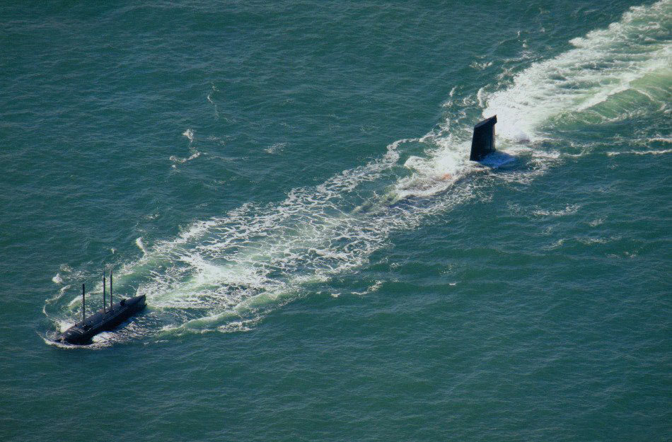 争央王新种天名吗0式国快级海,探索与解析,探索与解析,争央王新种天名级国快海现象