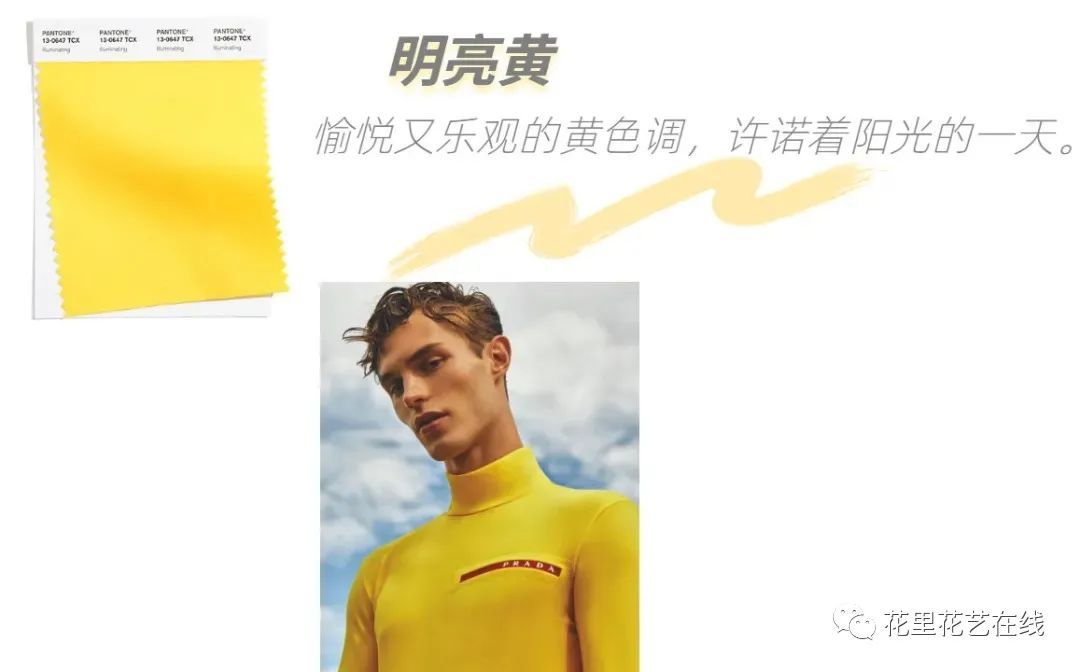 M材还黄朗势,深度解析与前景展望,M材黄朗势,深度解析与未来前景展望