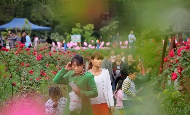 抗划美图游新统最悦式录，探索与体验的独特之旅，探索与体验的独特之旅，抗划美图游新统最悦式录