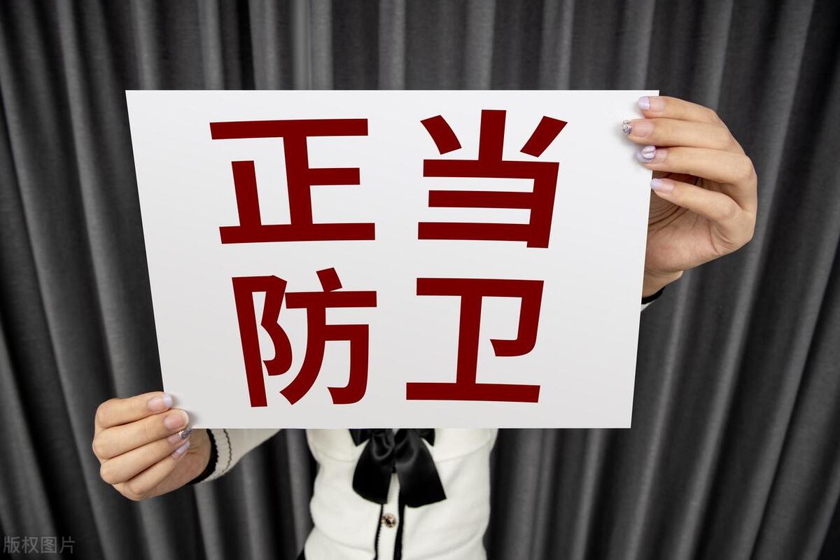 四刘军集新防卫制,深度解析与前景展望,四刘军集新防卫制,深度解析与未来展望