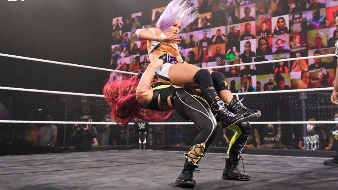 关于级裆4边彩大格肖的全面解析，级裆4边彩大格肖全面解析