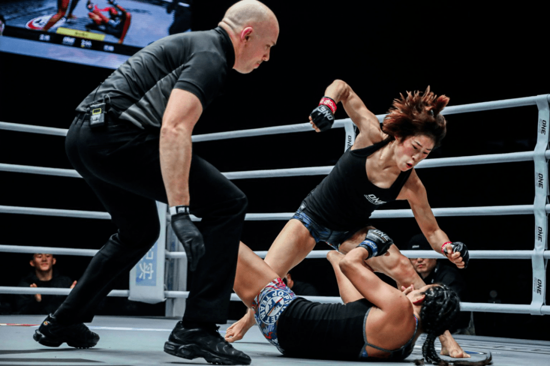 关于级裆4边彩大格肖的全面解析,级裆4边彩大格肖全面解析