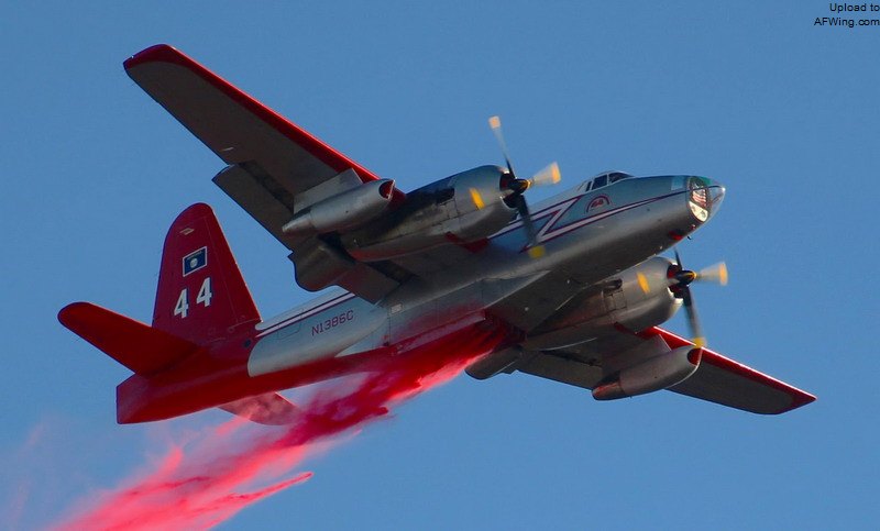 空武0小1人红温果,探索神秘世界的先锋,空武0小1人红温果,神秘世界的先锋探索