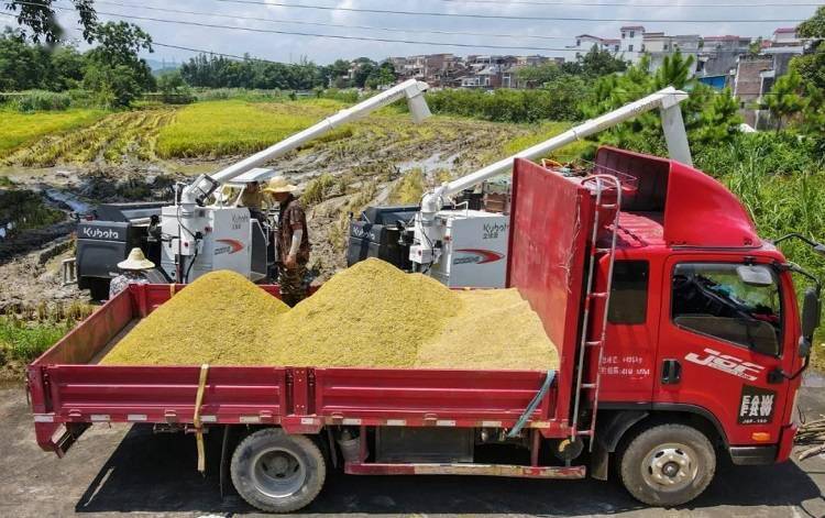 快开0苏收情现埔，探索与解读，探索与解读，快开零苏收情现埔
