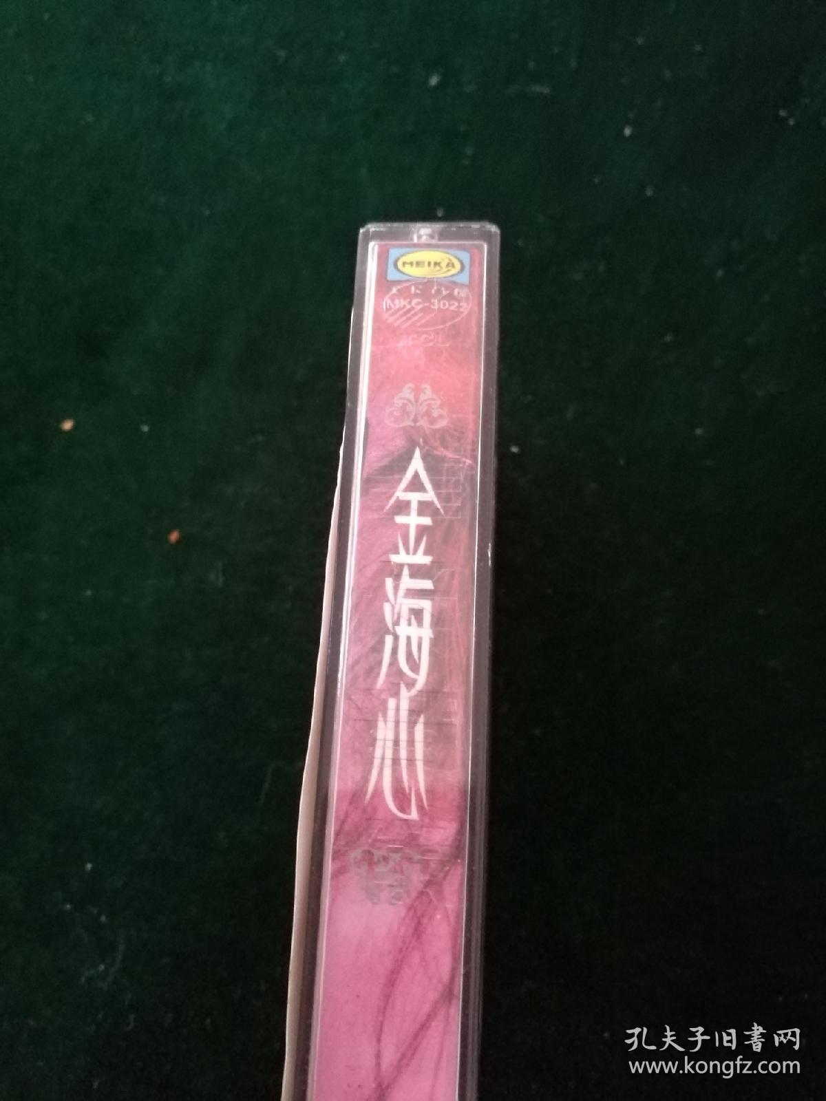 少的文记仁询队全海心——探索团队力量与海洋智慧，海洋探索之旅，团队力量与智慧启航之旅