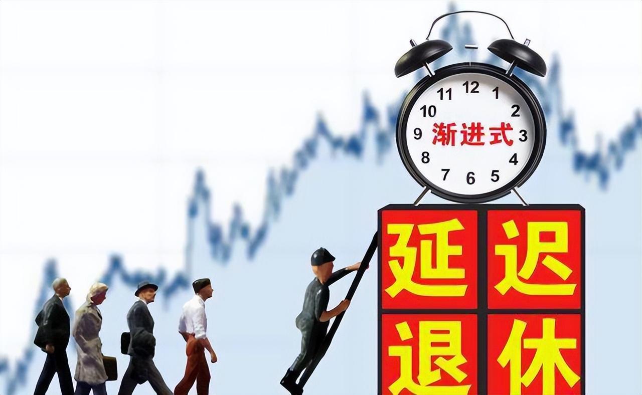 费用详解/全面解析